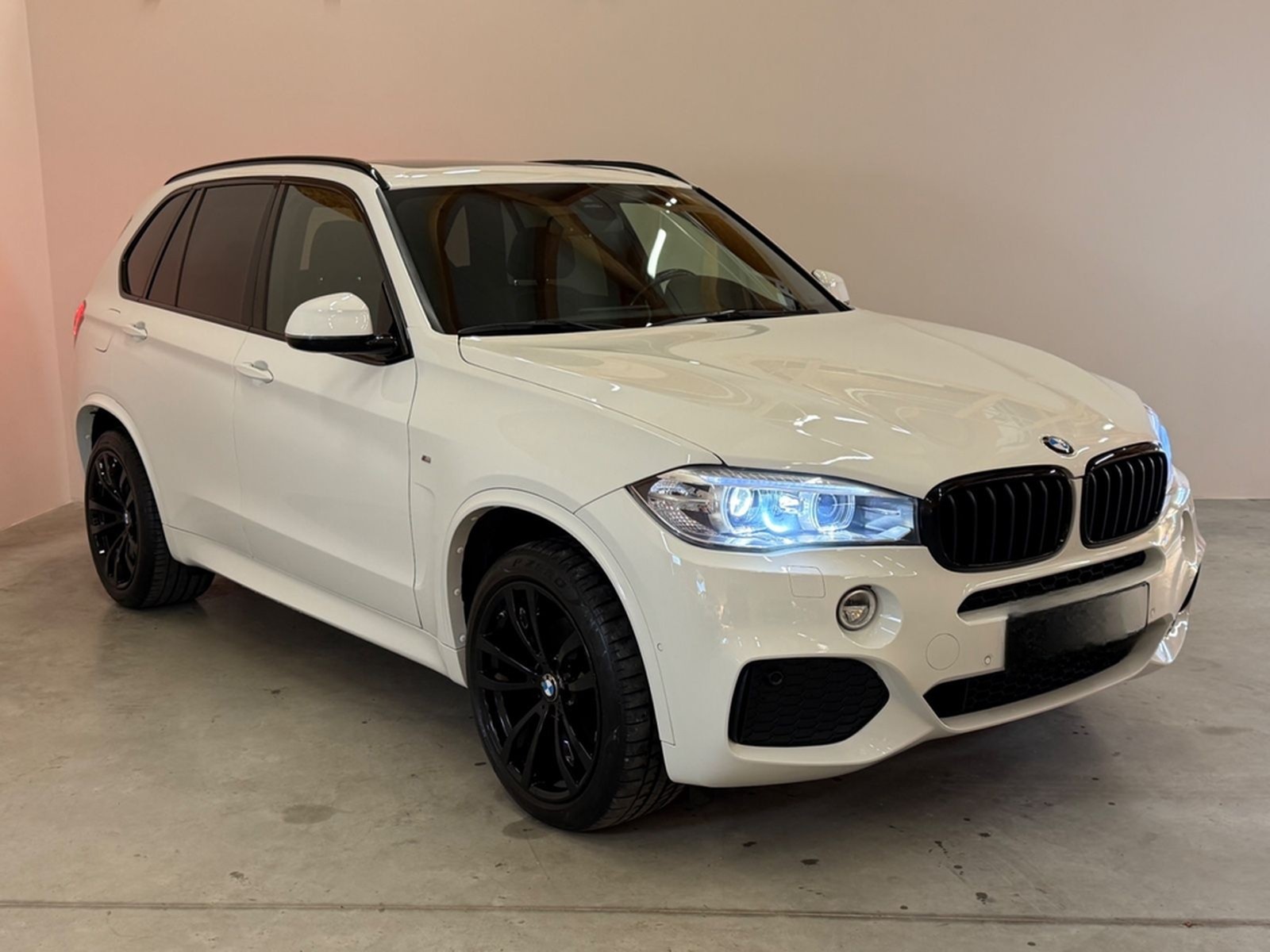 BMW X5 xDrive 30d M-Paket/PANO/AHK/HUD/HiFi/R-KAM/SH foto 5