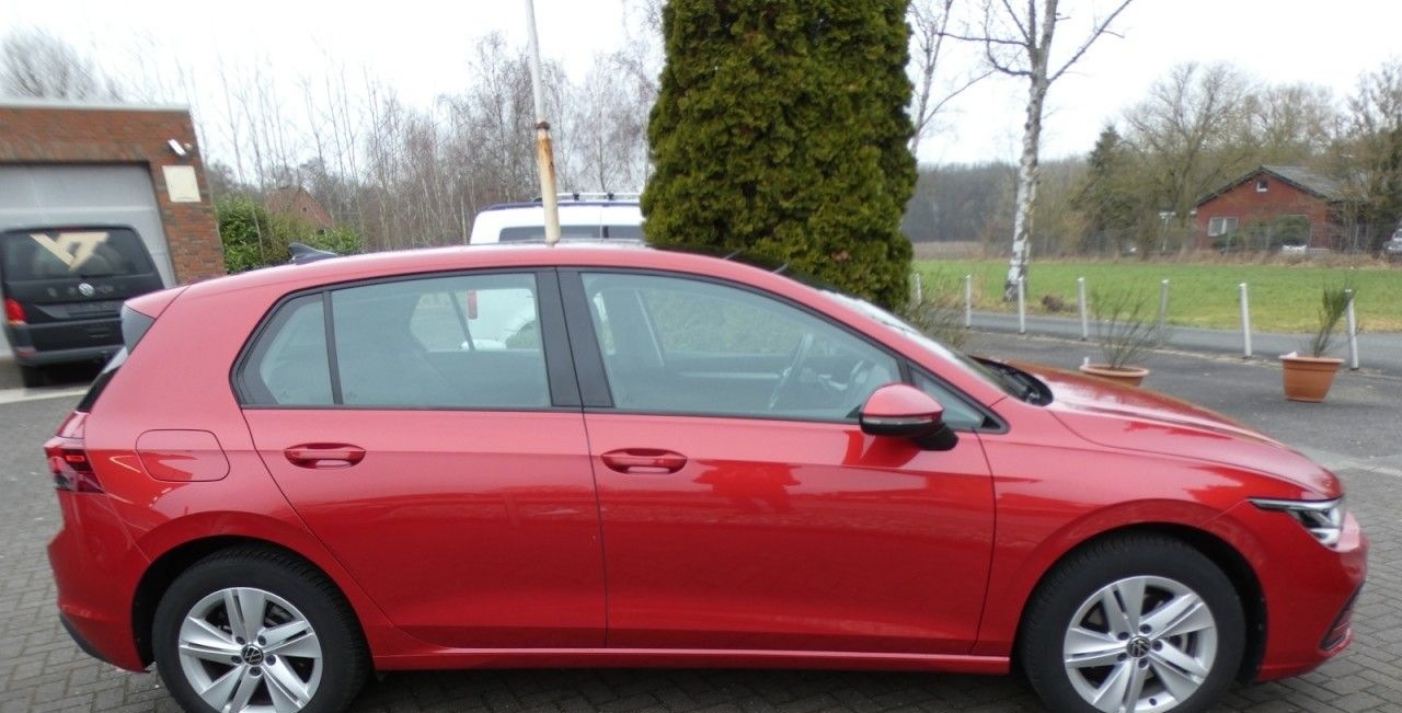 Volkswagen Golf 1.5TSI Life Panorama APP LED Lenkradheizung foto 2