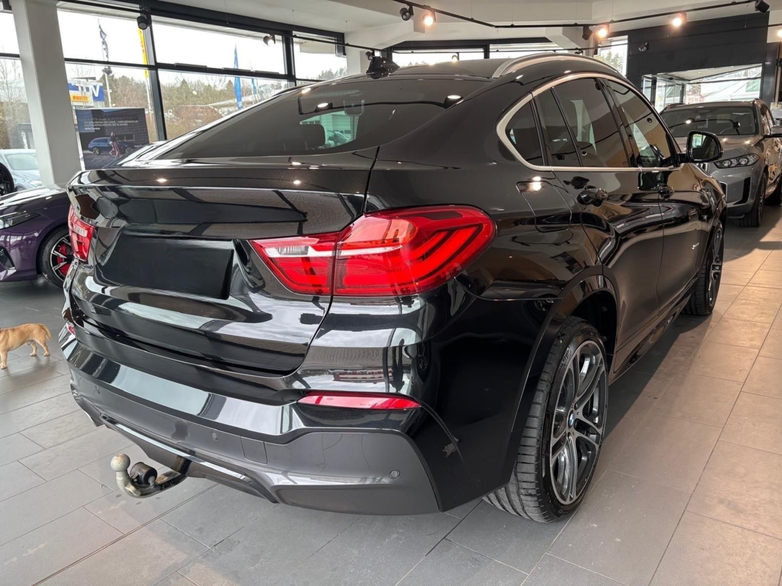 BMW X4 xDrive30d M Sport M Sportpaket Head-Up DAB foto 20