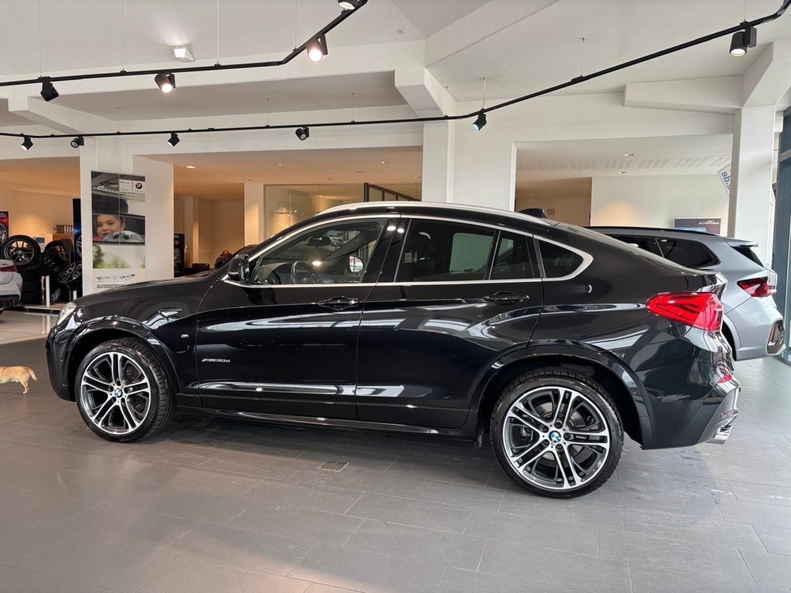 BMW X4 xDrive30d M Sport M Sportpaket Head-Up DAB foto 5