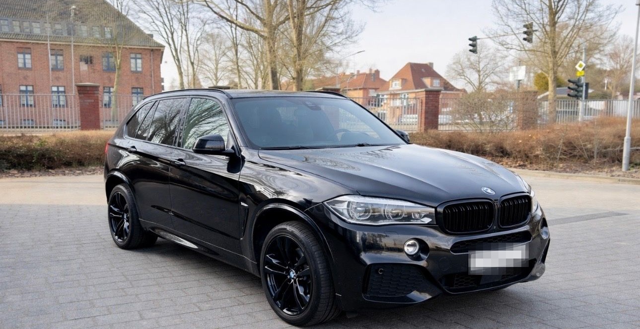 BMW X5 xDrive30d VOLL foto 2