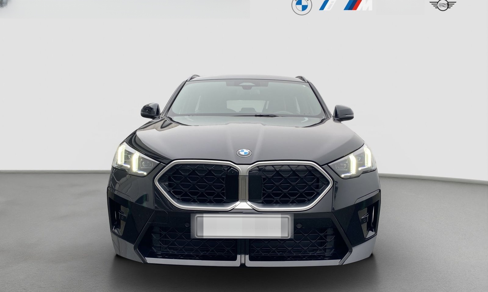 BMW X2 xDrive 20d ///M Sport AHK 360° HUD Navi RFK P foto 2