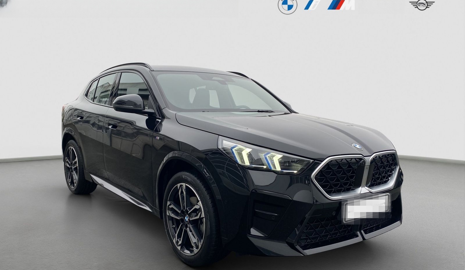 BMW X2 xDrive 20d ///M Sport AHK 360° HUD Navi RFK P foto 8