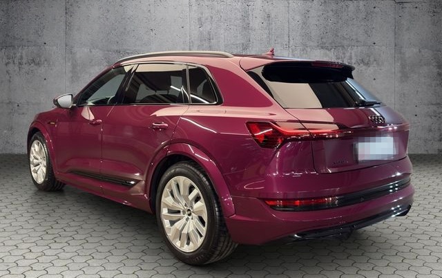 Audi e-tron S quattro Pano+Matrix+Head-Up+B&O+360° foto 6