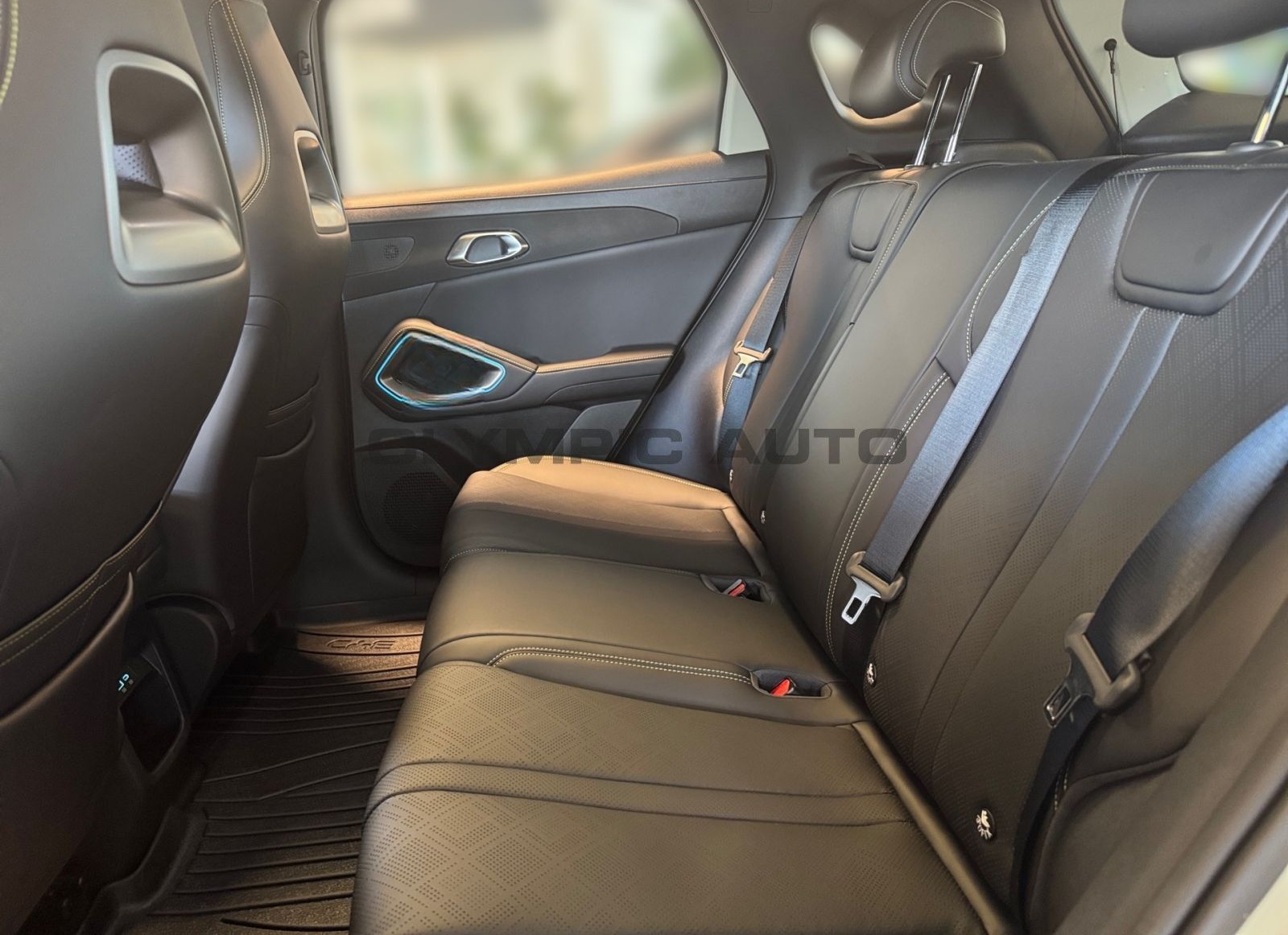 BYD ATTO 2 Boost, SHZ, NAVI, LEDER, LED, V2L, KAMERA foto 11