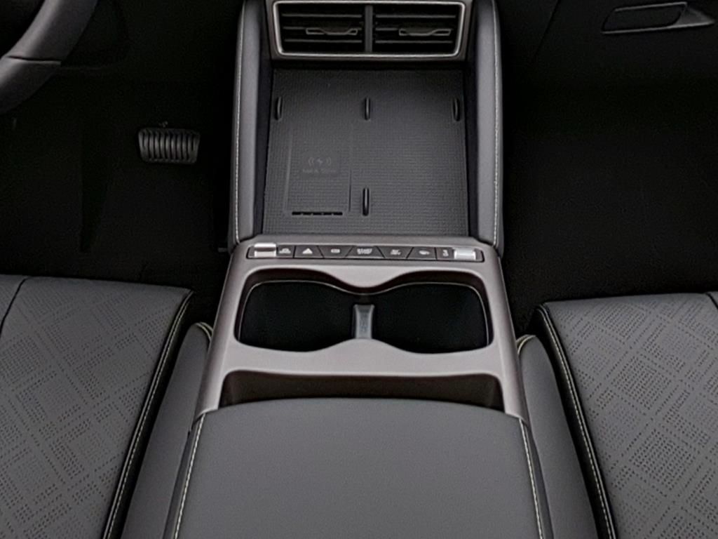 BYD ATTO 2 DM-i Boost foto 13