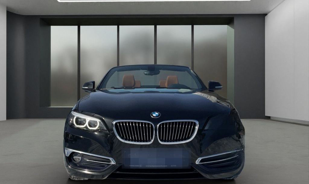 BMW 218d Cabrio LUXURY LINE LED NAVI LEDER H/K 18" foto 3