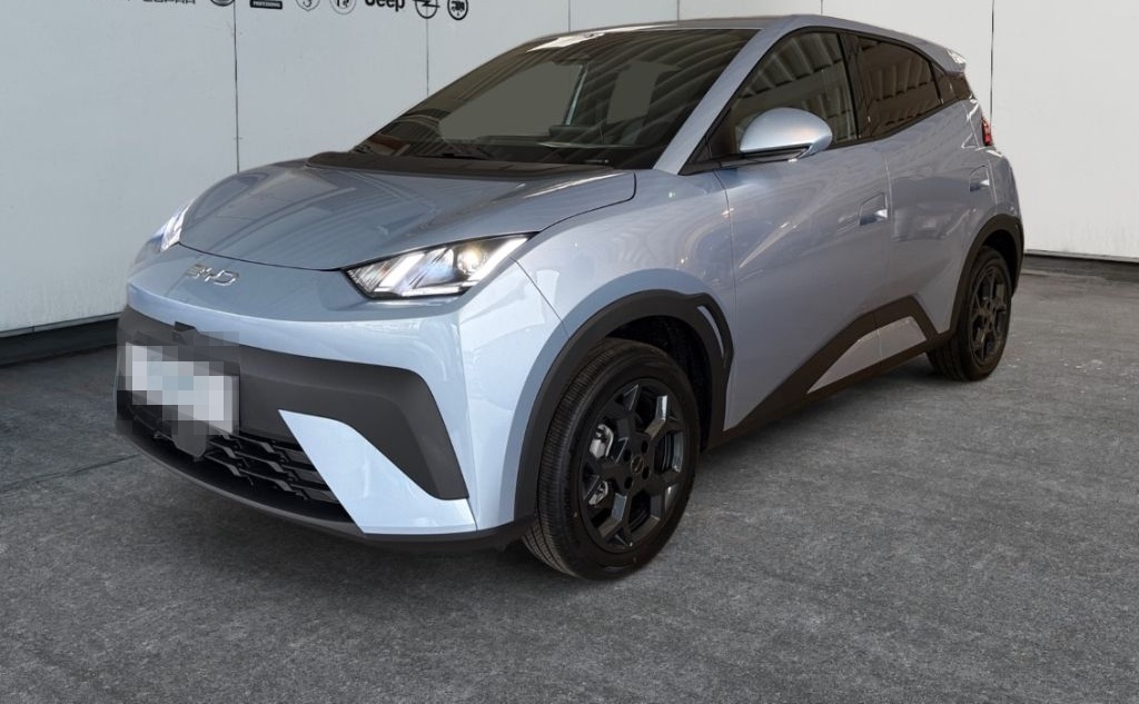 BYD Dolphin Surf Comfort Navi, Kamera360, Sitzhzg foto 2