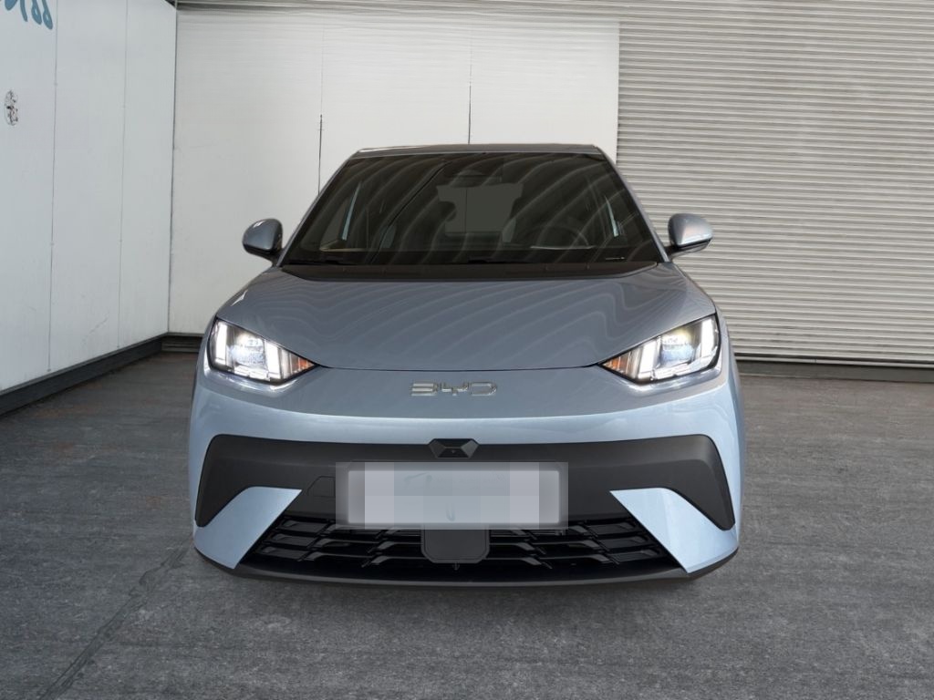 BYD Dolphin Surf Comfort Navi, Kamera360, Sitzhzg foto 3