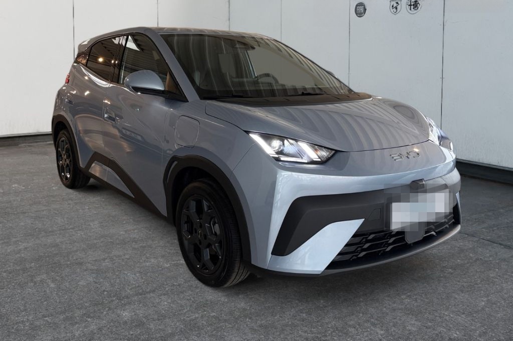 BYD Dolphin Surf Comfort Navi, Kamera360, Sitzhzg foto 4