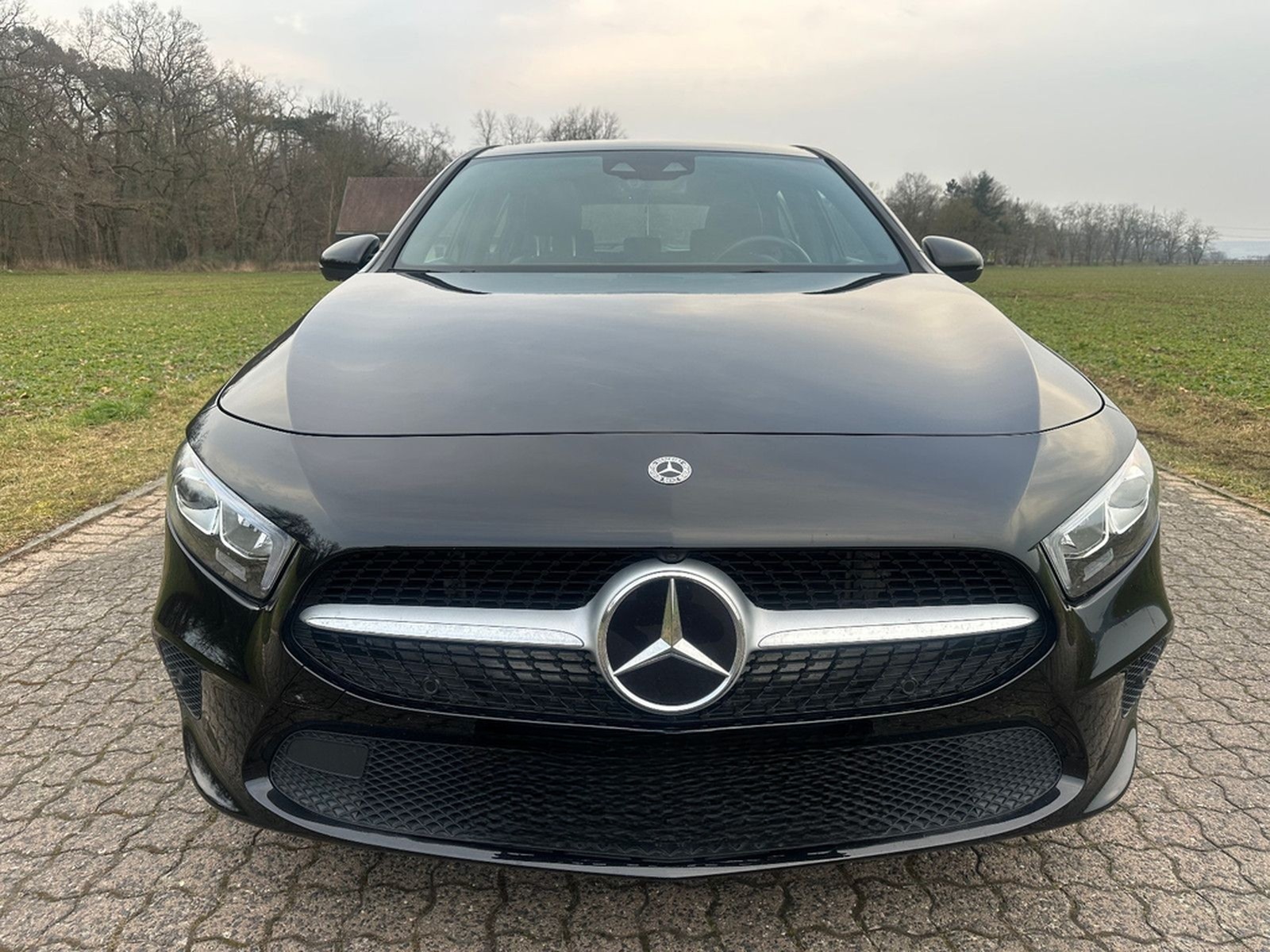 Mercedes-Benz A 200 Progressive Pano Navi Kamera LED foto 4