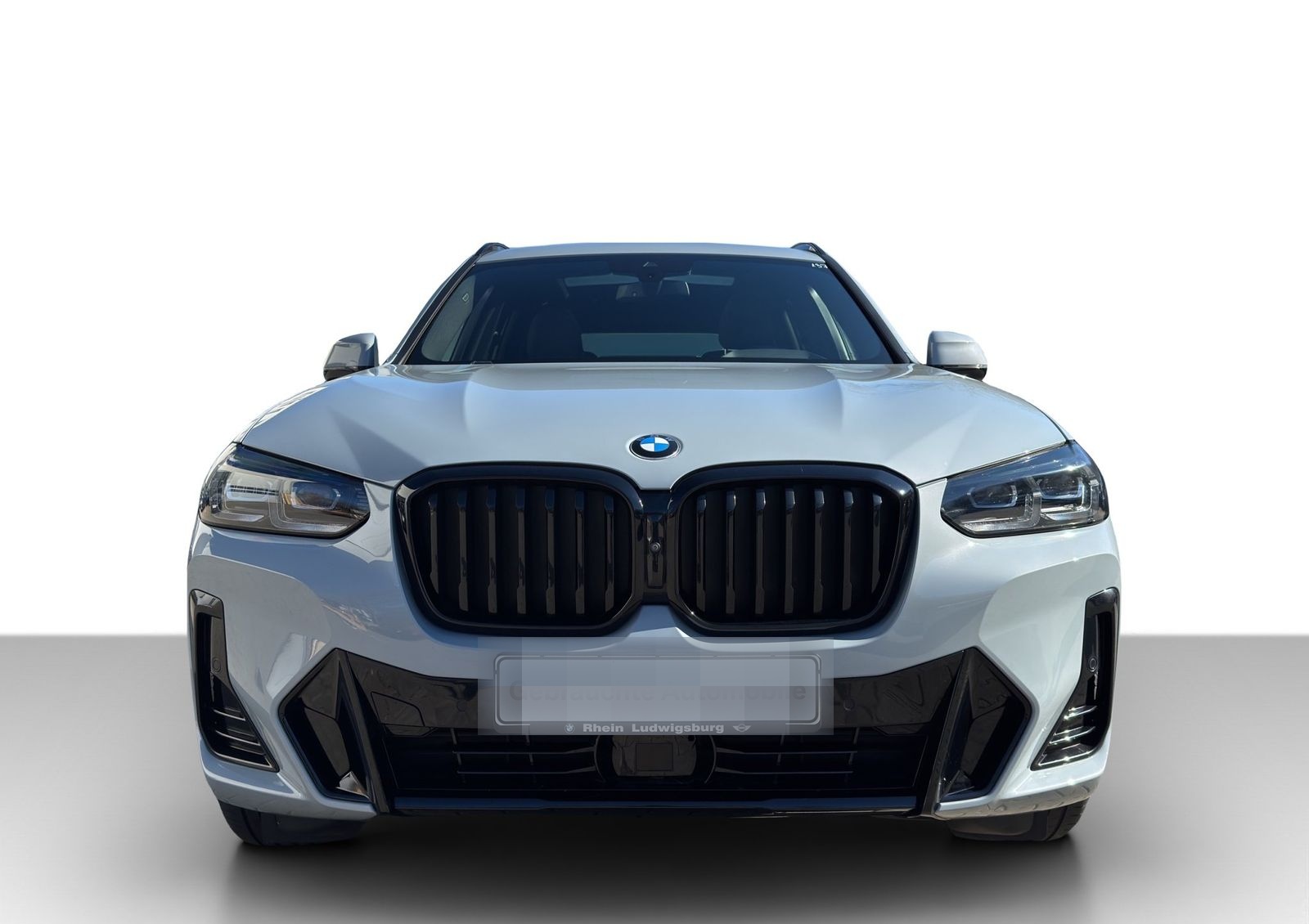 BMW X3 xDrive30i M Sportpaket DrivAs ParkAs+ HiFi foto 4