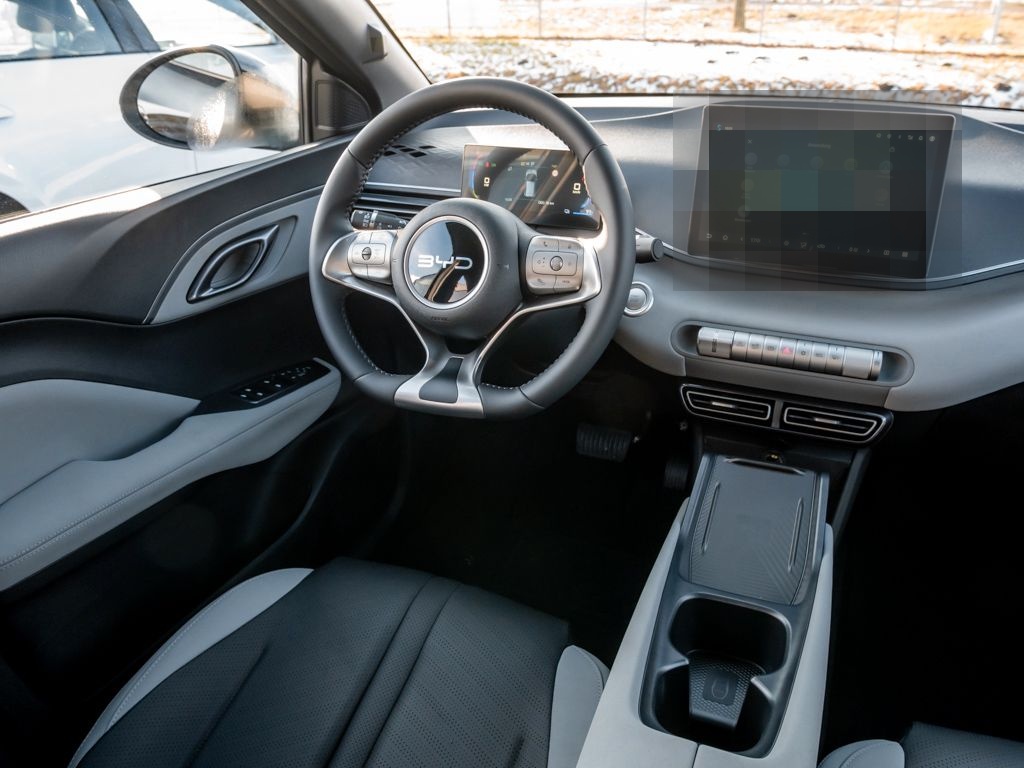 BYD Dolphin Surf Comfort 43,2 kWh/360°/SHZ/DAB/ACC foto 4