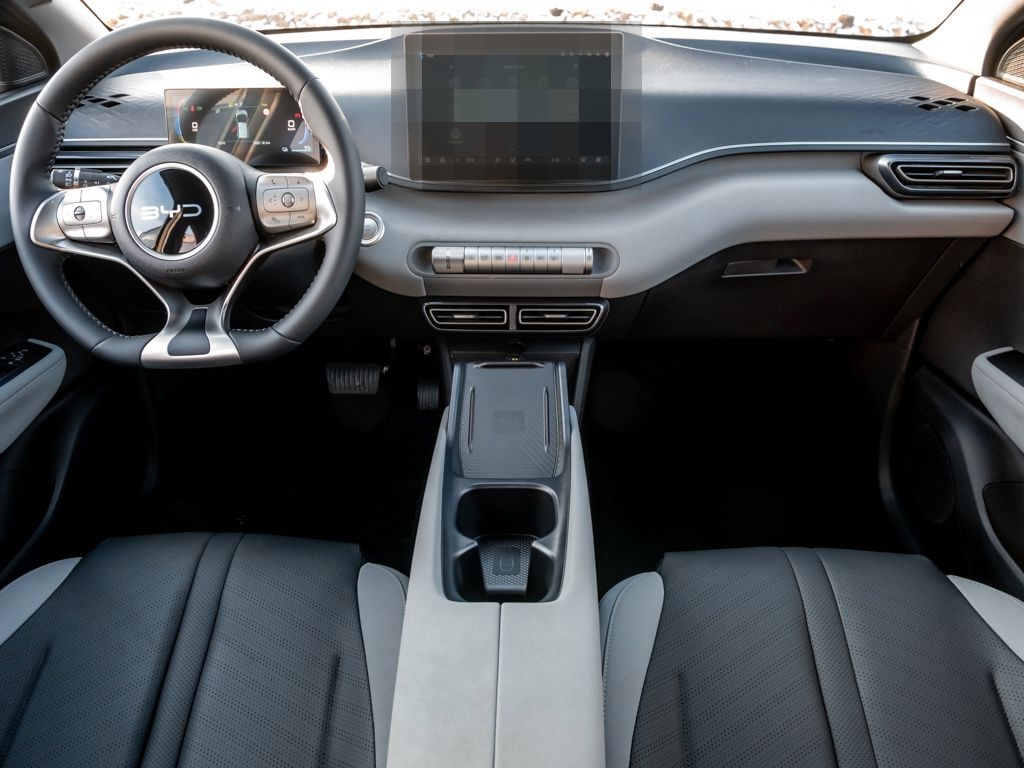 BYD Dolphin Surf Comfort 43,2 kWh/360°/SHZ/DAB/ACC foto 8