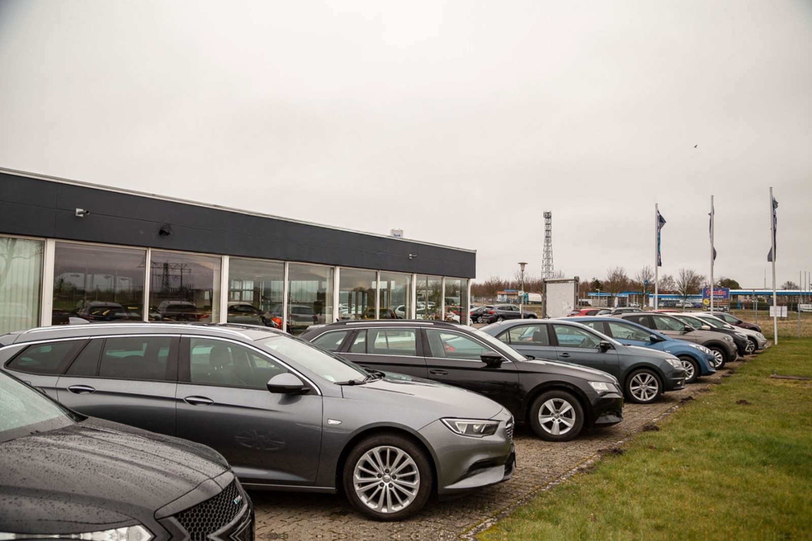 Volkswagen Golf VII Variant Alltrack 4Motion ACC LED foto 9