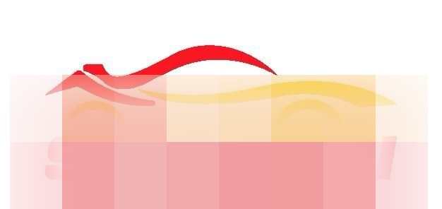 BMW 520 5 Touring 520 d foto 2