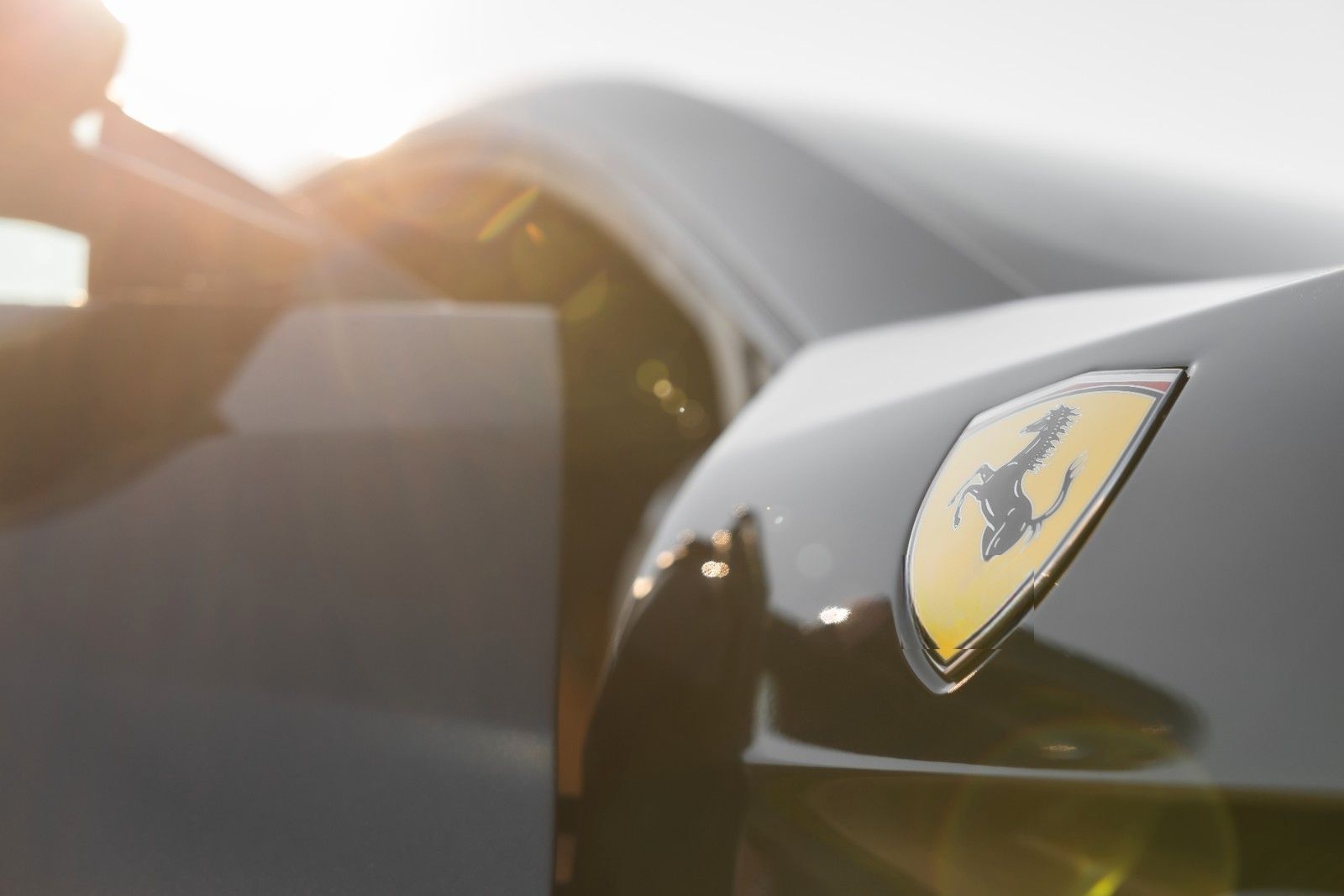 Ferrari GTC4 Lusso T V8 foto 6