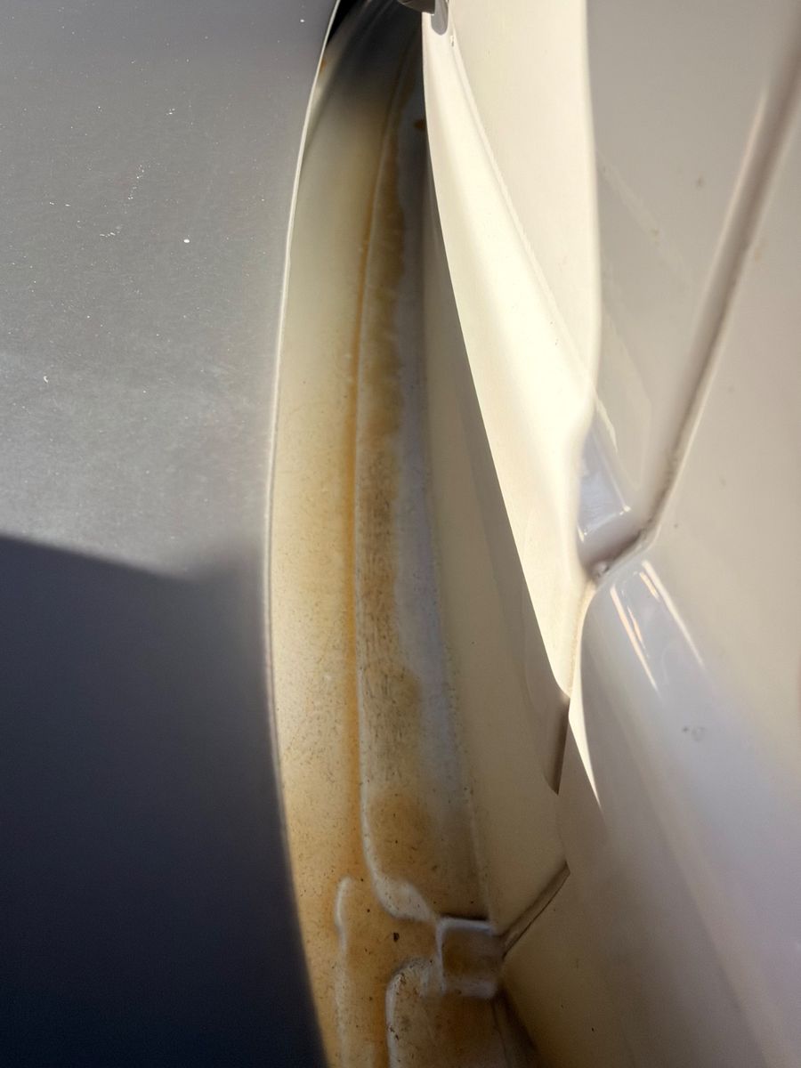 Volkswagen Westfalia foto 4