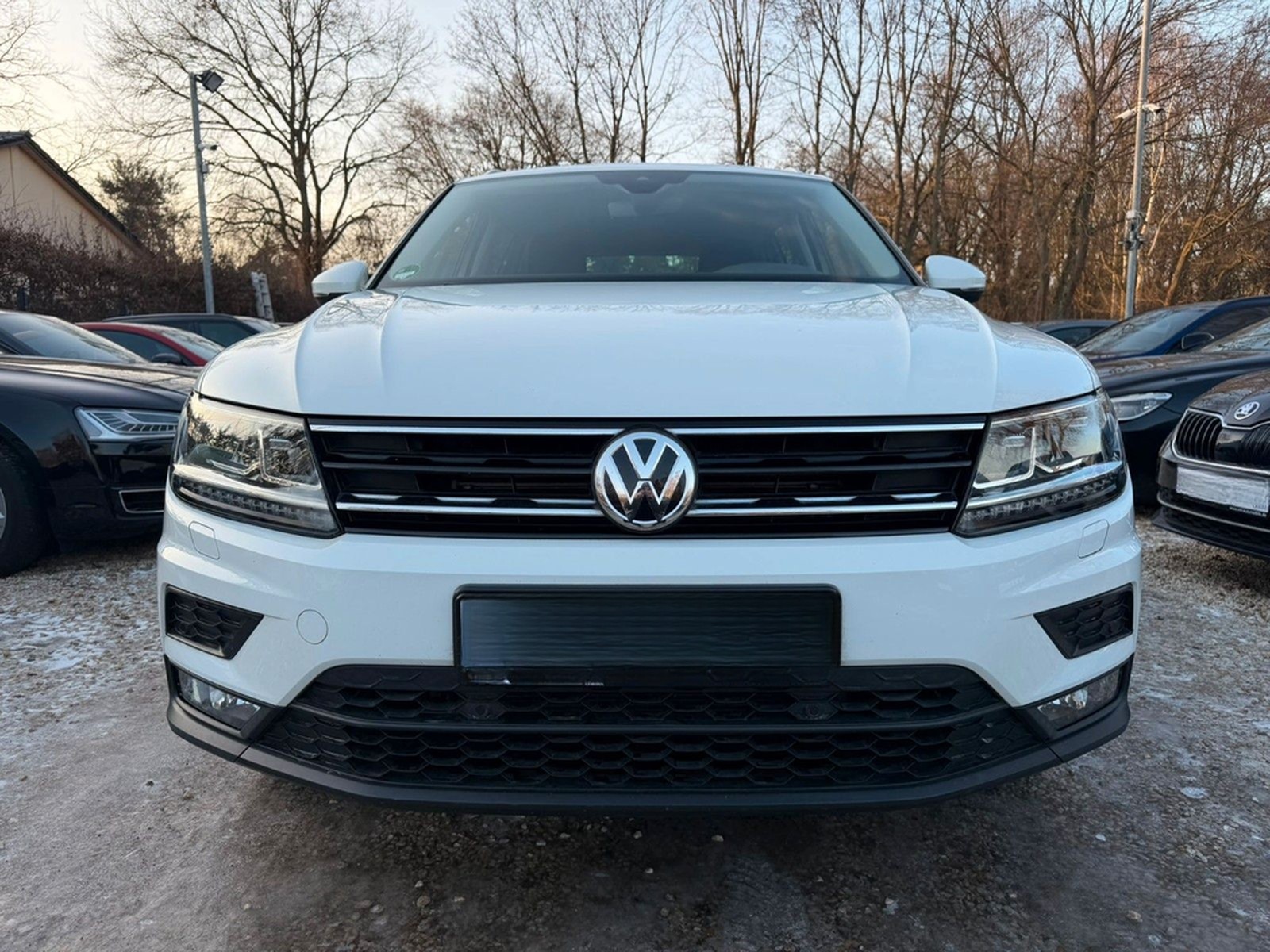 Volkswagen Tiguan Comfortline 4Motion Kam*SitzHz.*ACC foto 2