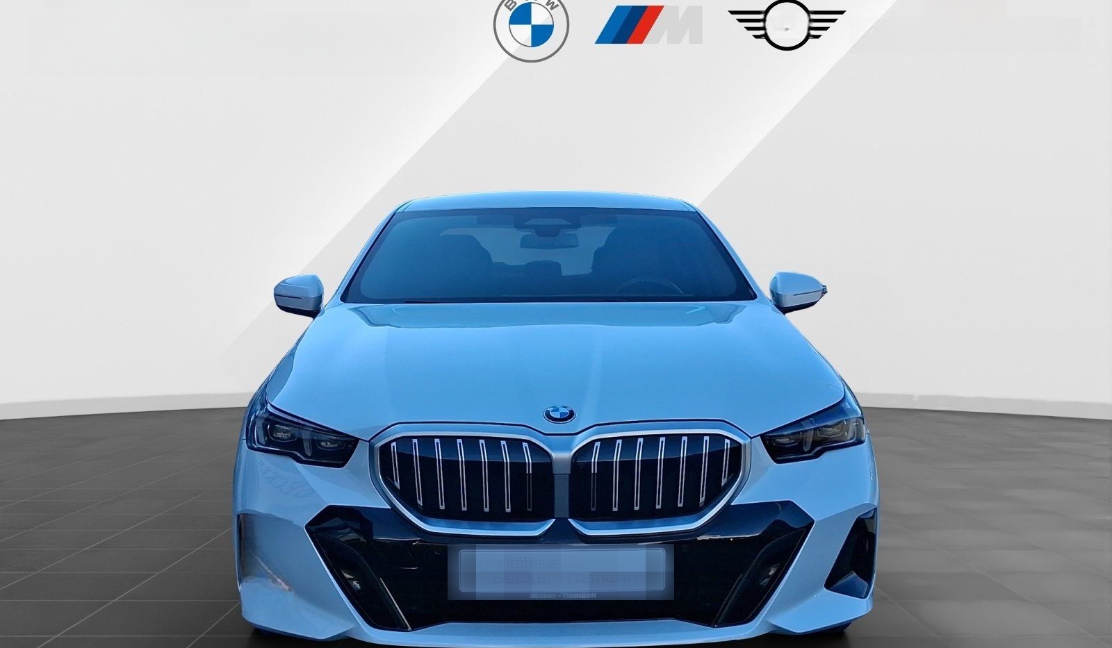 BMW 520d M Sport/DA-Prof/PA+/Standheizung/HK-Sound/S foto 2