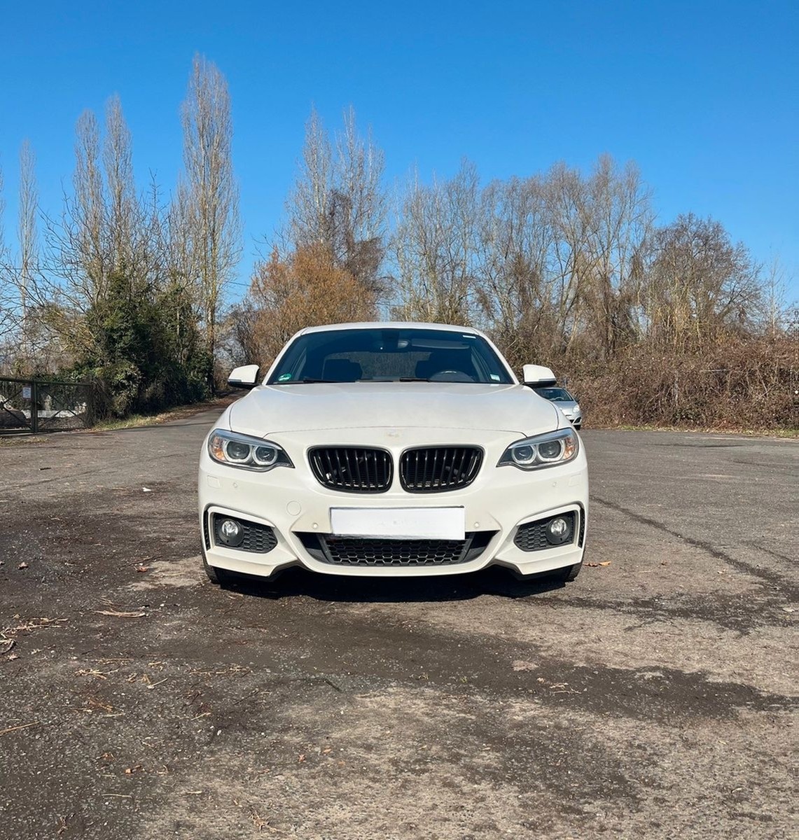 BMW 228i Coupé - M Sportpaket foto 2