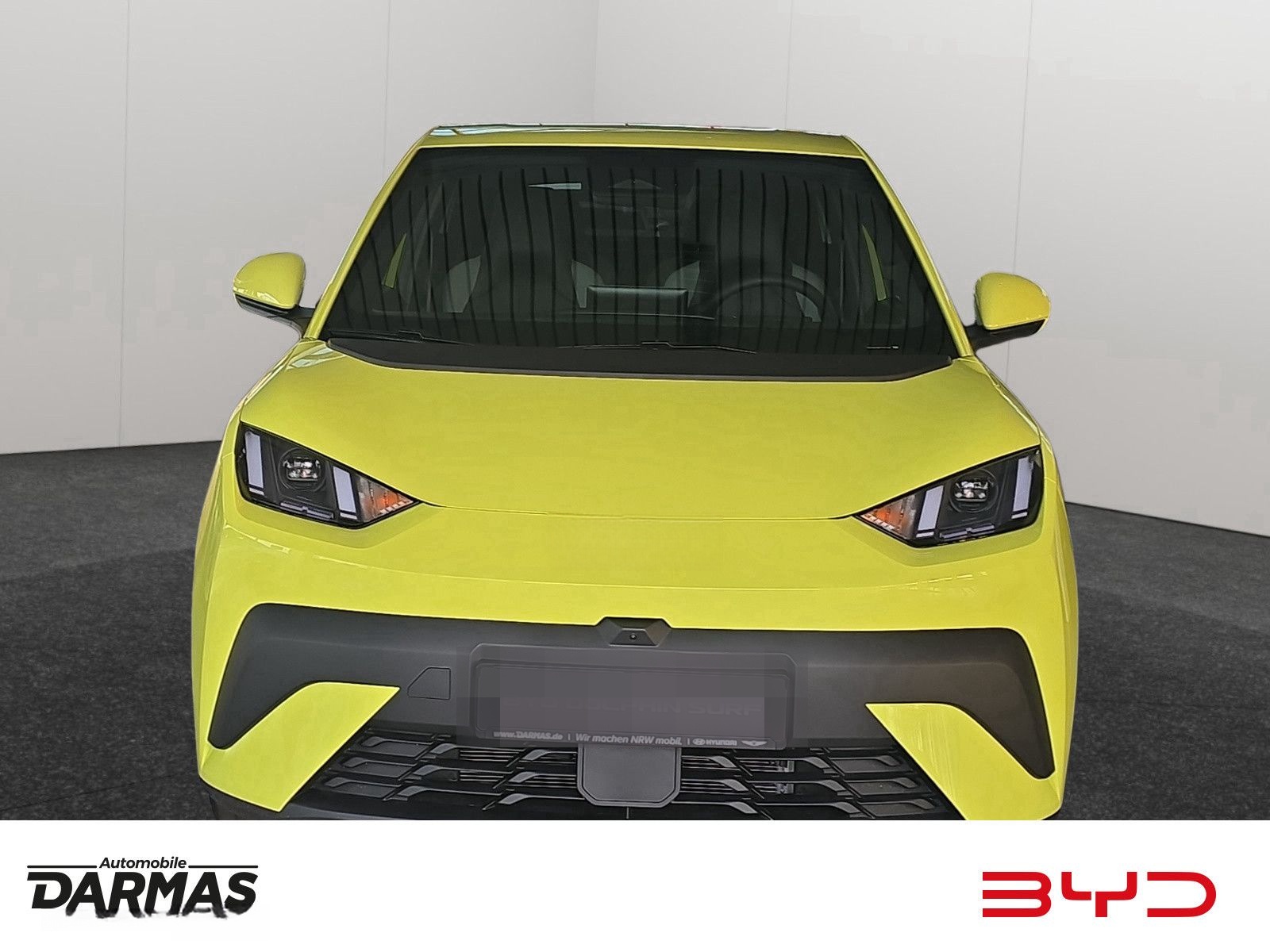 BYD DOLPHIN SURF Comfort  foto 2