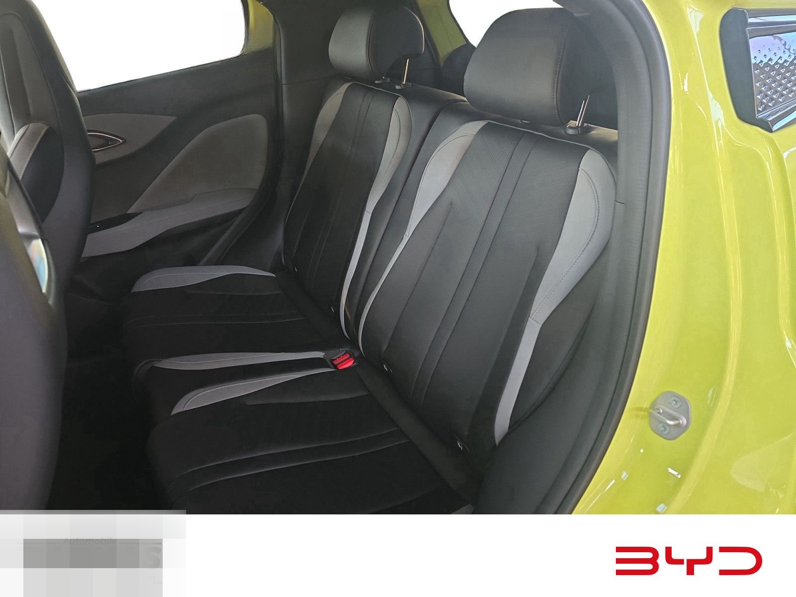 BYD DOLPHIN SURF Comfort  foto 11