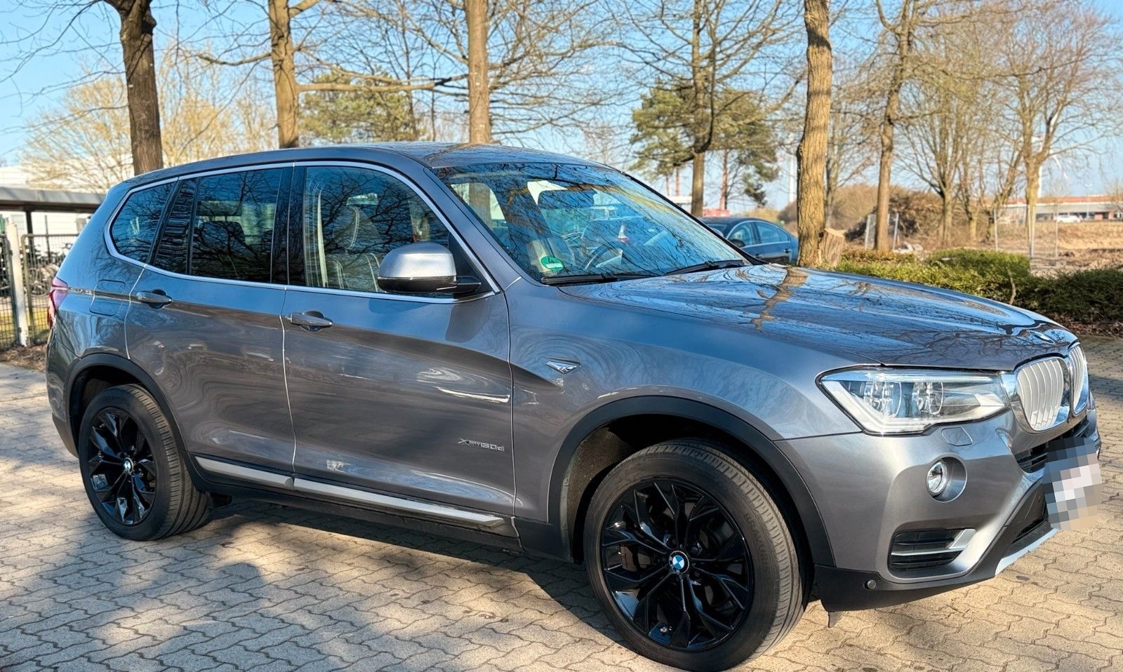 BMW X3 xDrive30d xLine AT xLine foto 2
