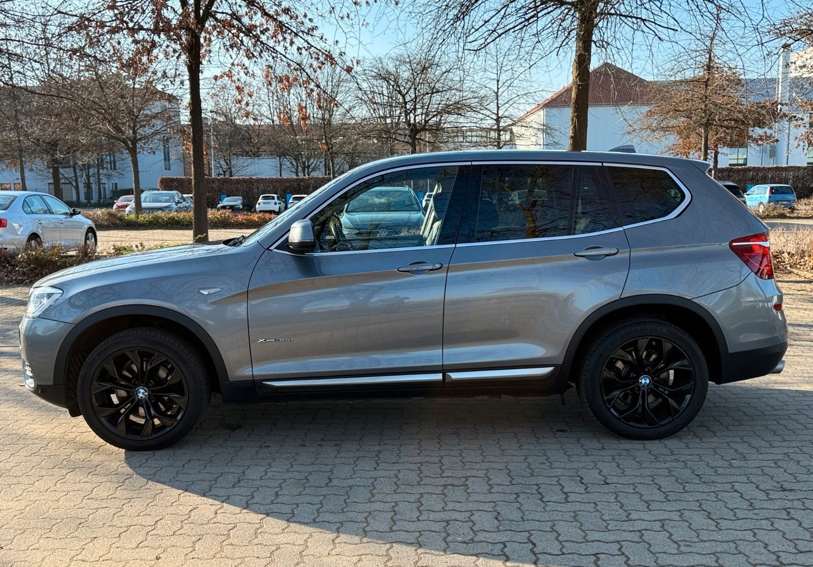 BMW X3 xDrive30d xLine AT xLine foto 4