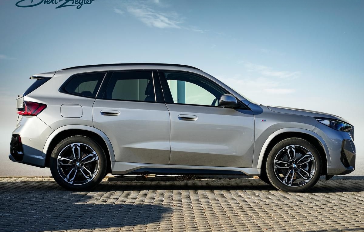 BMW X1 sDrive20i M-Sport 19 AHK PANO KoZg AdLED LRH foto 2