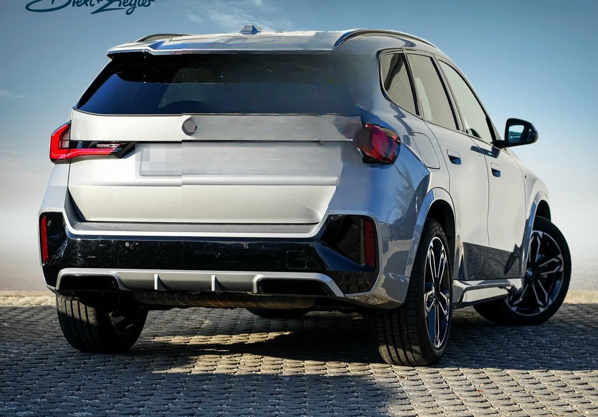 BMW X1 sDrive20i M-Sport 19 AHK PANO KoZg AdLED LRH foto 3