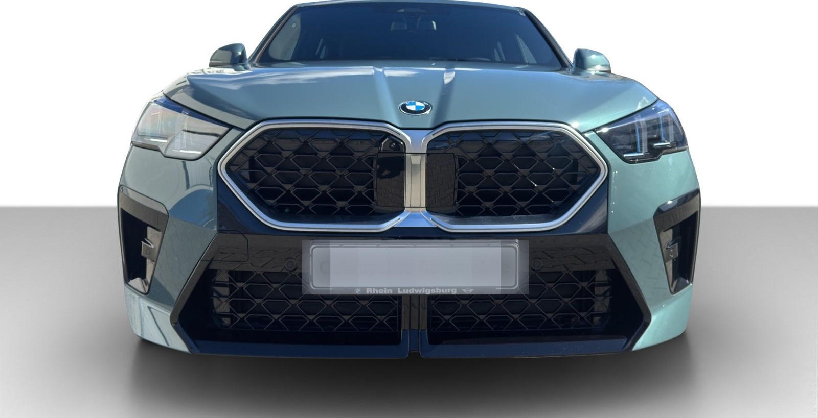 BMW X2 sDrive20i M Sport ParkAs Hifi LED DrivAs foto 4
