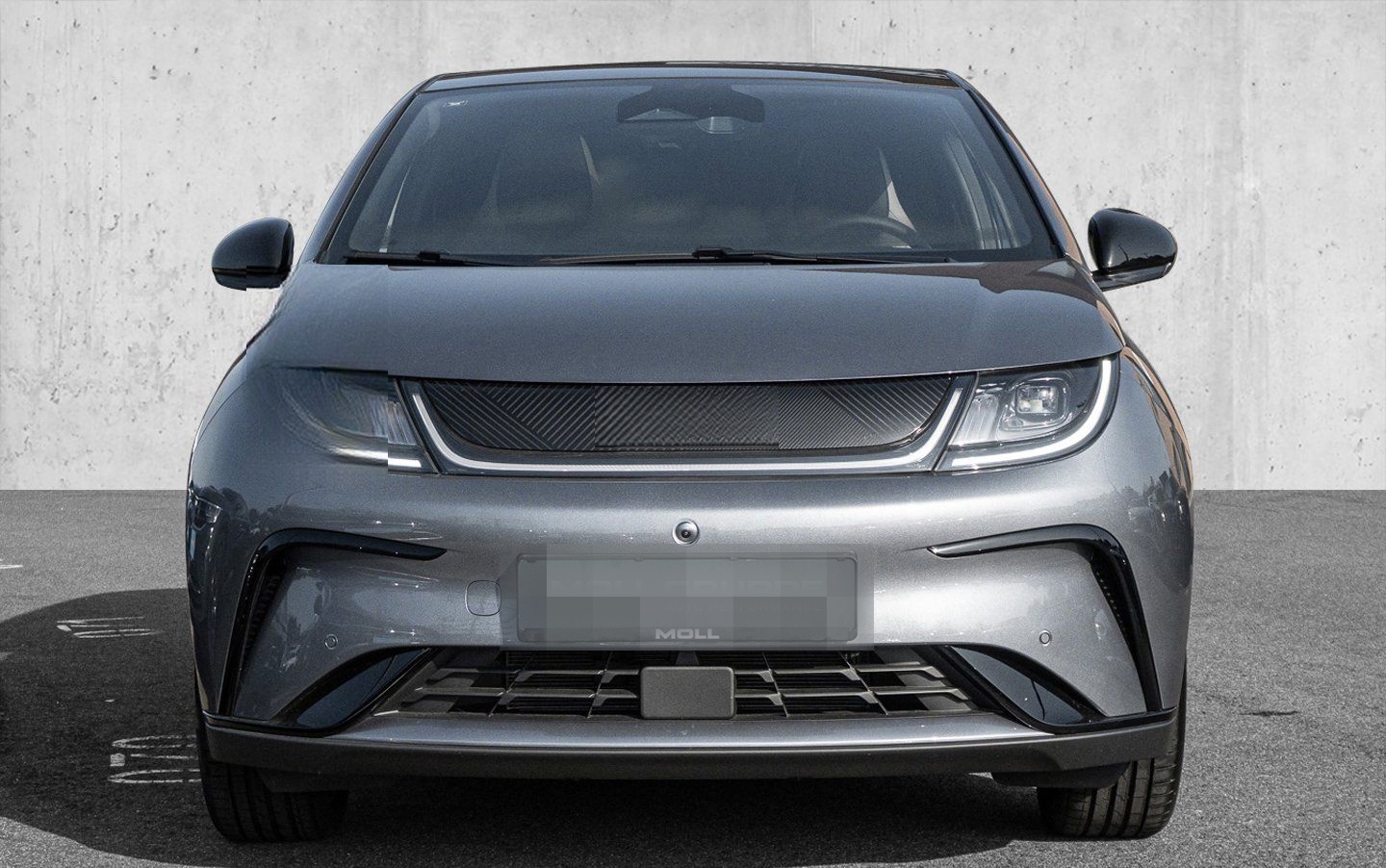 BYD Dolphin Design Panoramadach*Navigation foto 2