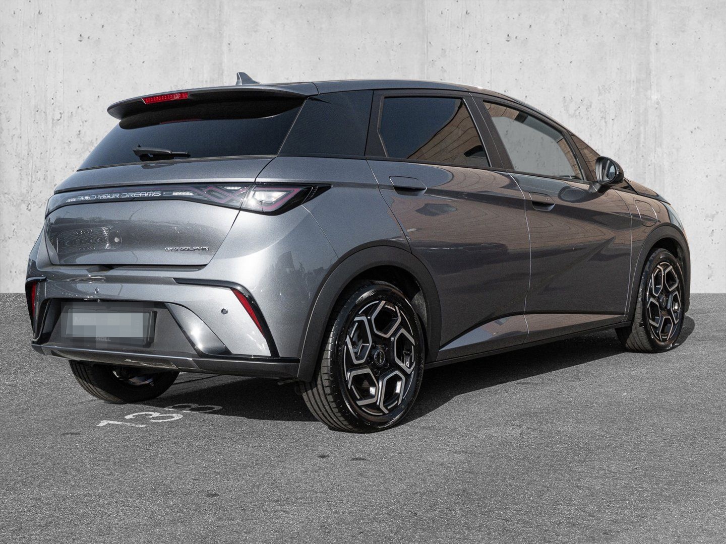 BYD Dolphin Design Panoramadach*Navigation foto 3