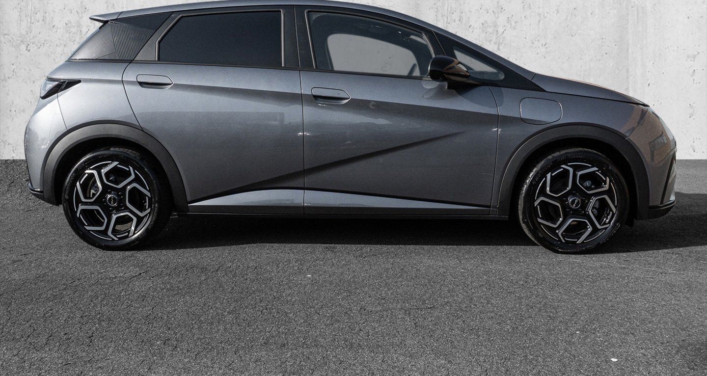 BYD Dolphin Design Panoramadach*Navigation foto 4