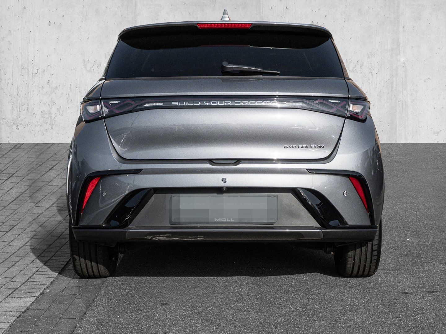 BYD Dolphin Design Panoramadach*Navigation foto 5