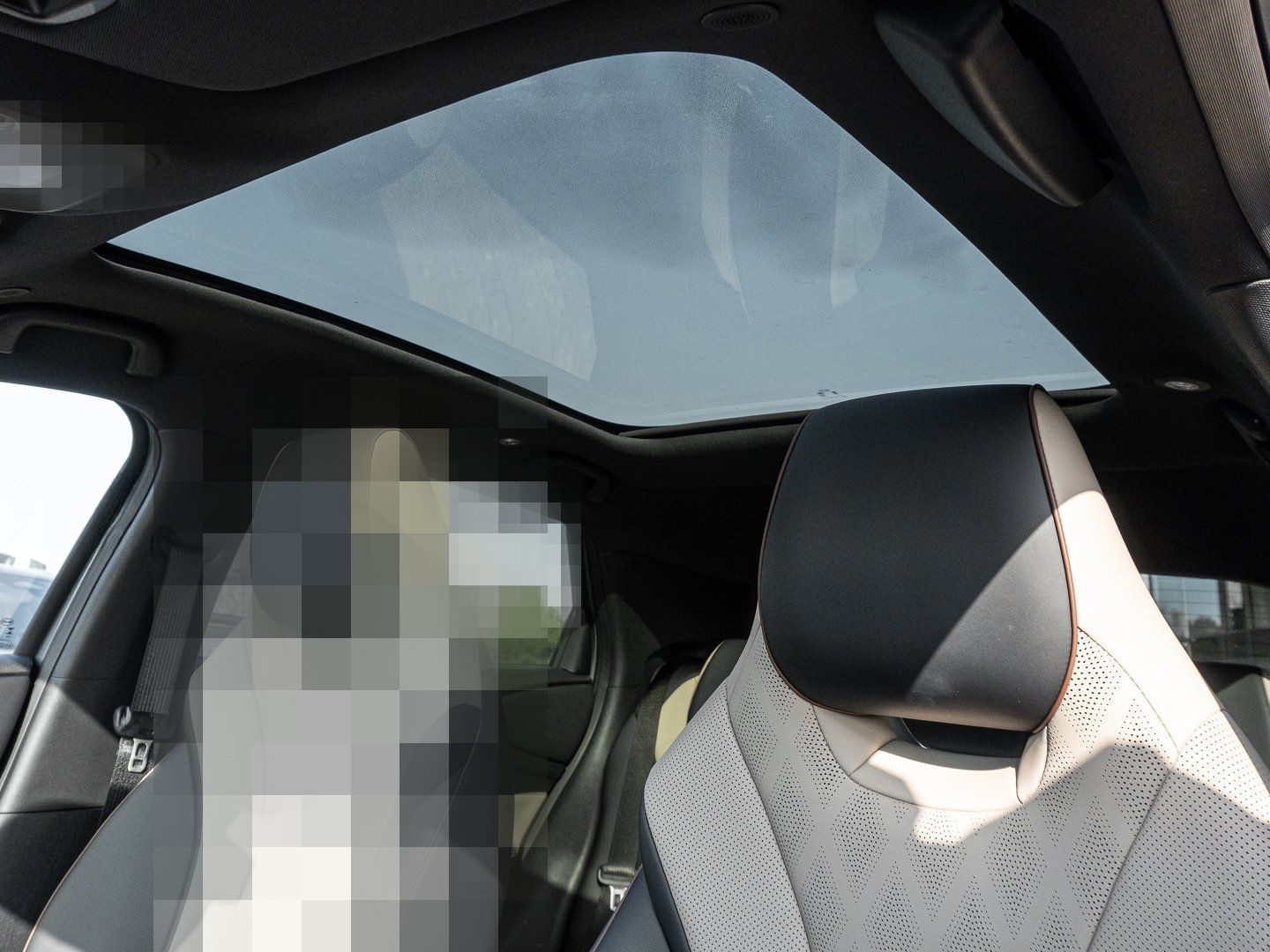 BYD Dolphin Design Panoramadach*Navigation foto 7