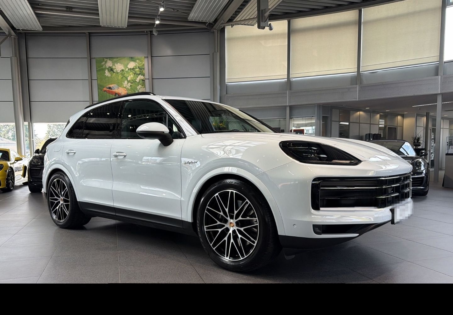 Porsche Cayenne E-Hybrid HA-Lenkung InnoDrive Head-Up foto 13