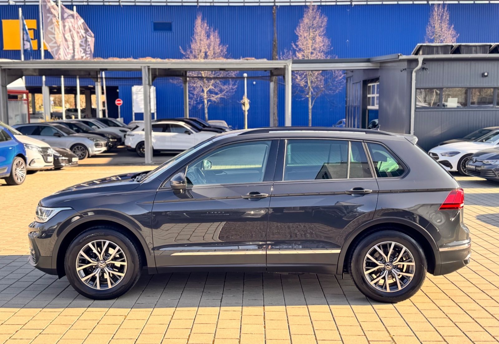 Volkswagen Tiguan 2,0 TDI Life *LEDER-REAR VIEW-MEMORY* foto 2