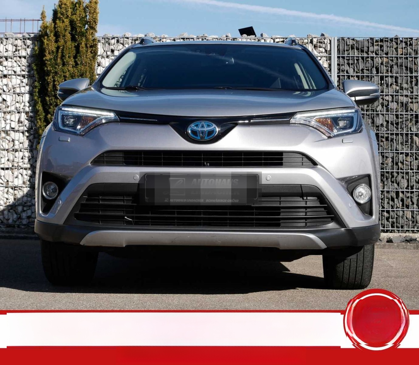 Toyota RAV4 Hybrid 2.5 4x4 Team Deutschland foto 5