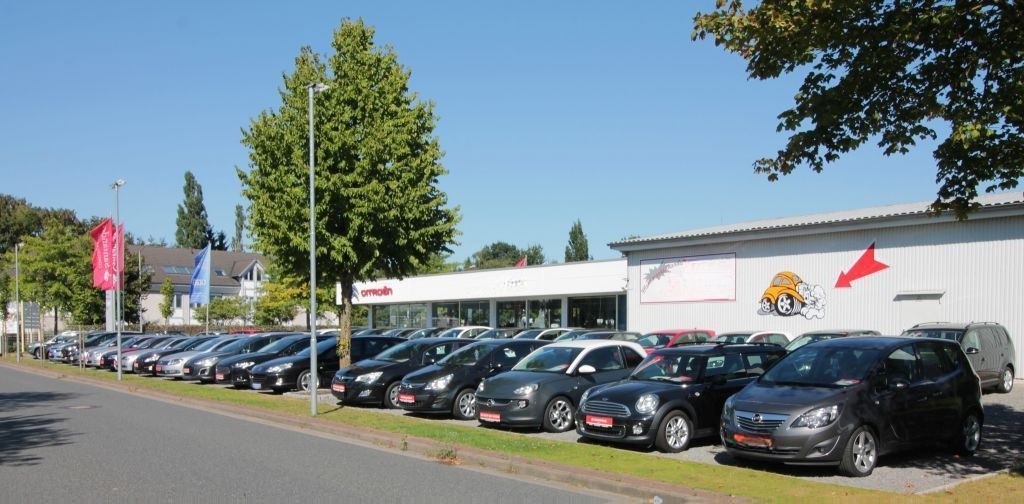 Mercedes-Benz GLK 250 CDI BlueEfficiency 4Matic, AUTOMATIK foto 25