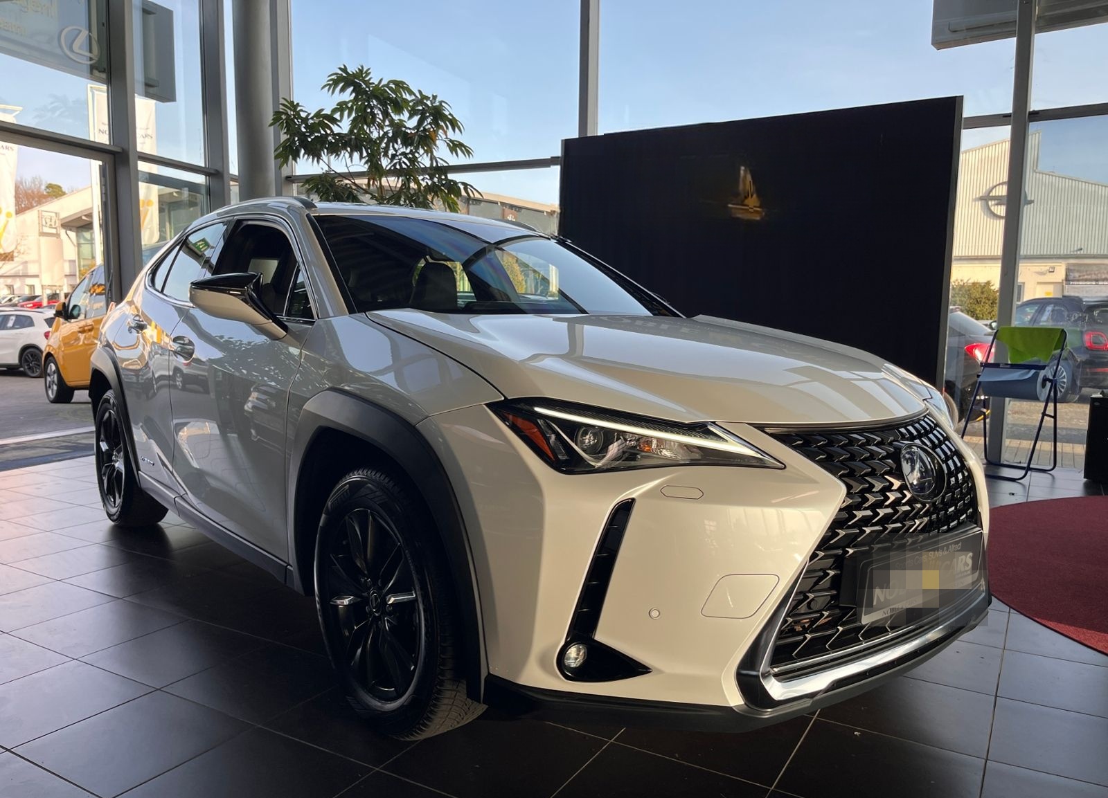 Lexus UX 250 h Launch Edition LED NAV SHZ RFK
