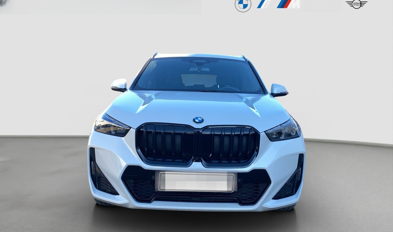 BMW X1 xDrive 20d ///M Sport PRO ACC PanoSD AHK foto 2