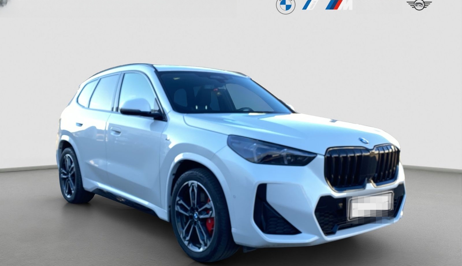 BMW X1 xDrive 20d ///M Sport PRO ACC PanoSD AHK foto 8