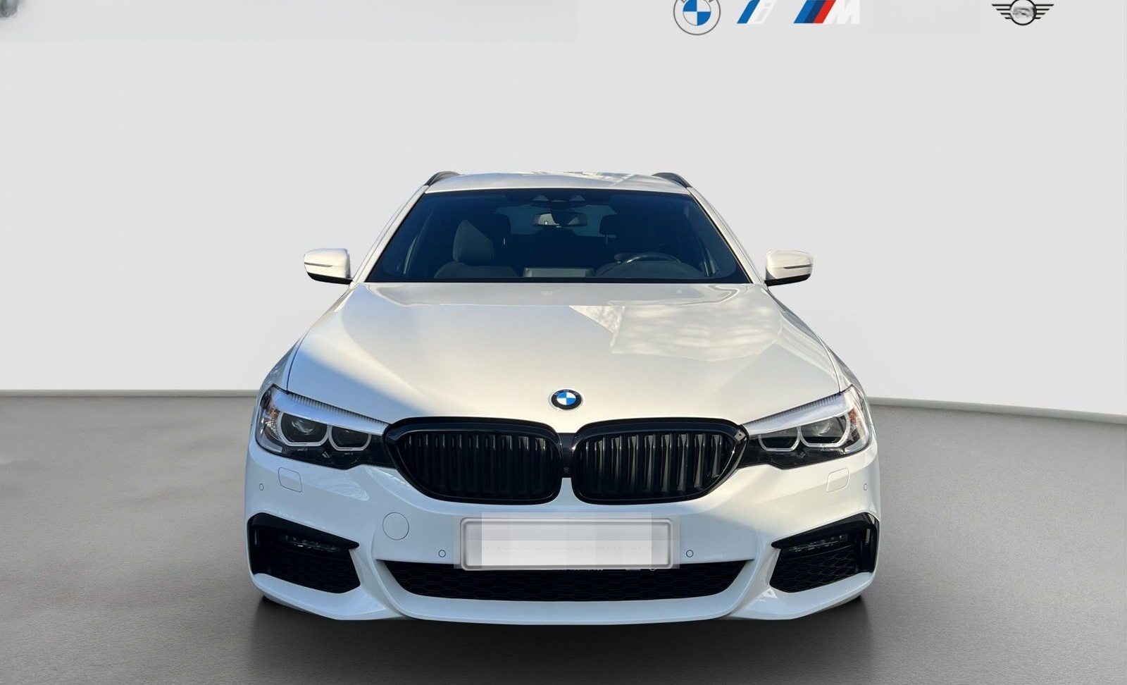 BMW 530d Touring ///M-Sport Luftfed. 360° AHK HiFi R foto 2