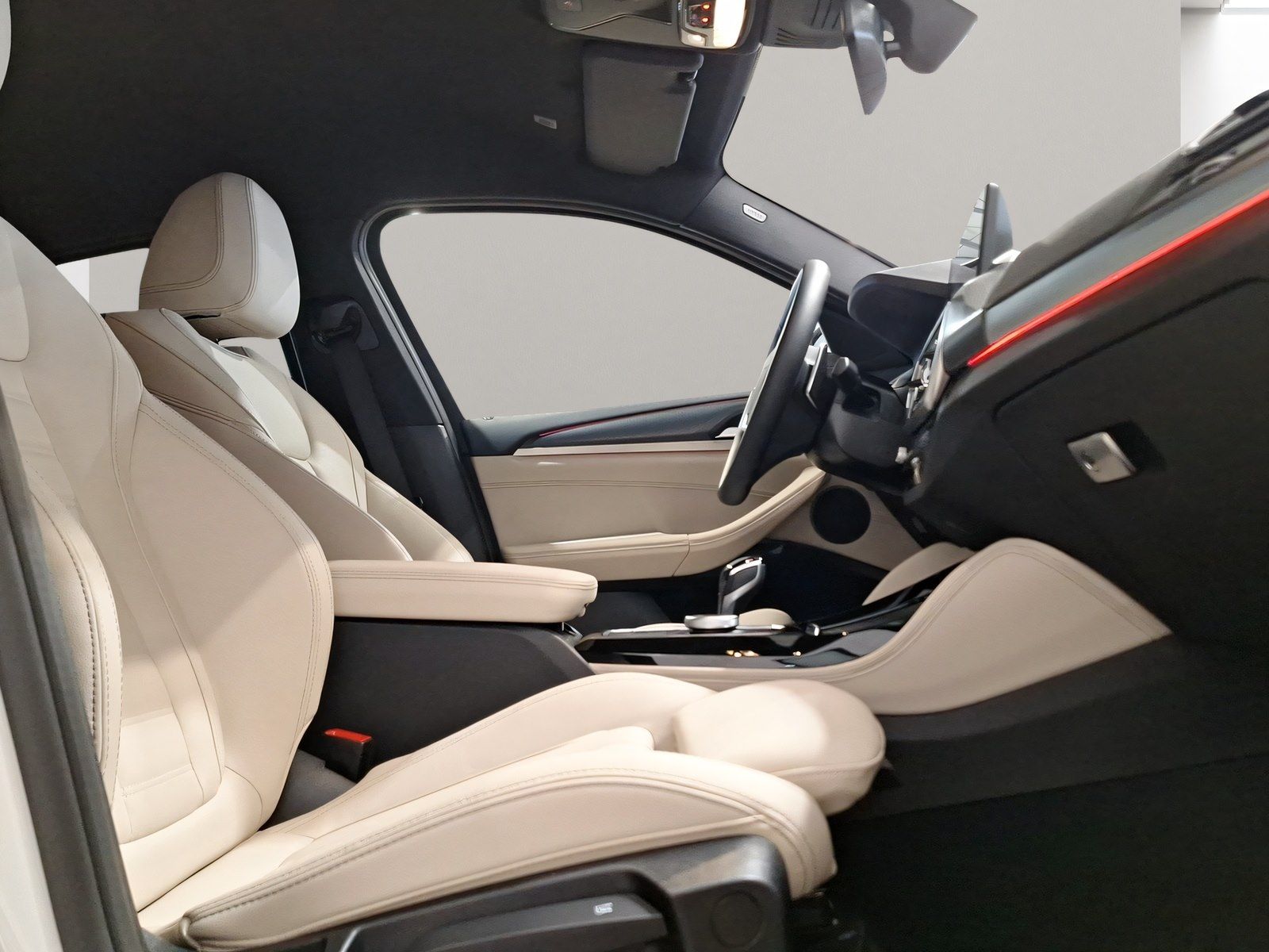 BMW X4 xDrive20d M Sport Navi AHK Kamera HiFi LED foto 5