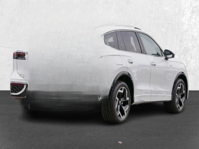 Volkswagen Tiguan R-Line 1.5 TSI DSG eHybrid AHK IQ.LIGHT D foto 3