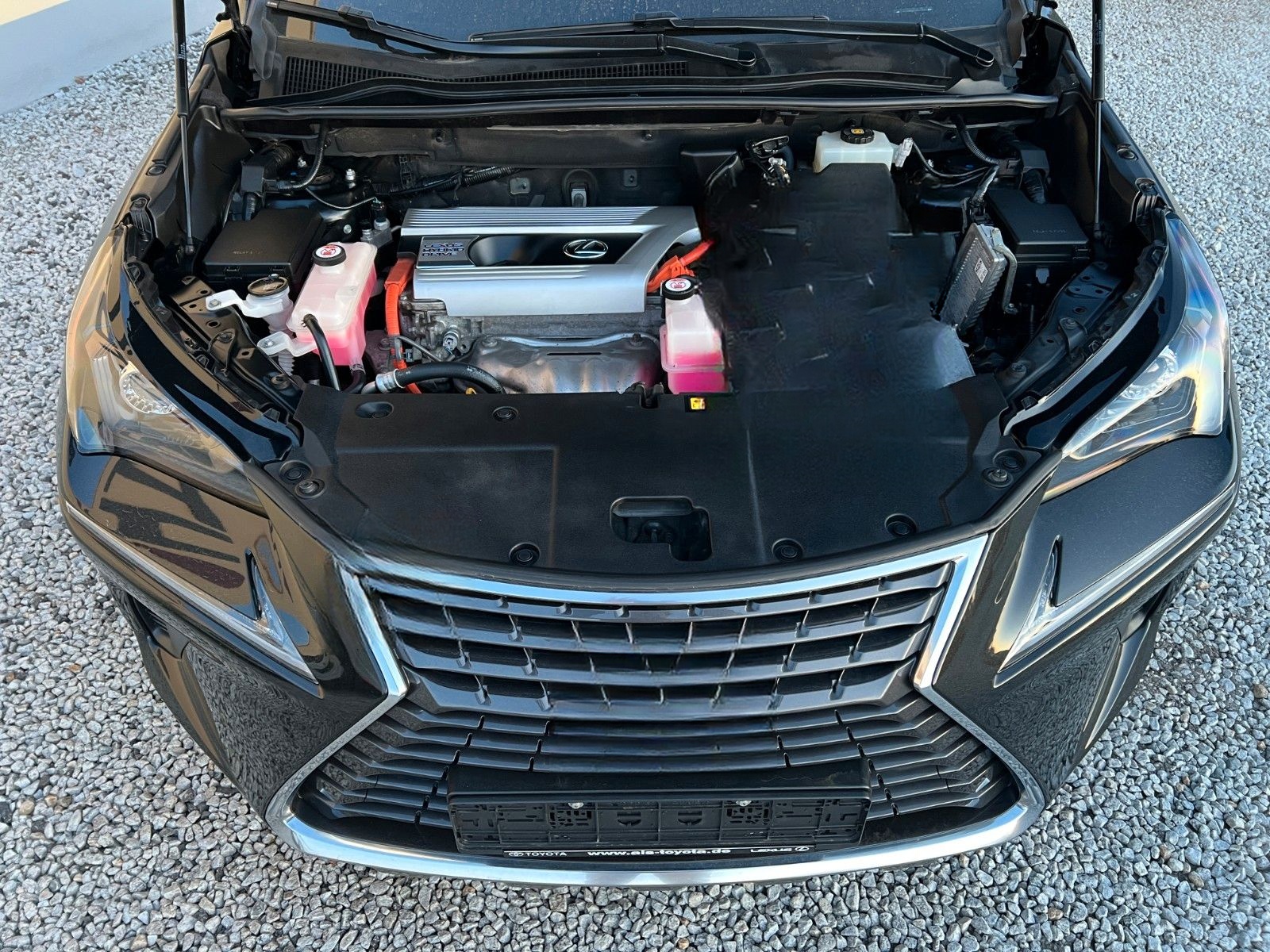 Lexus NX 300 300h Business Line foto 14
