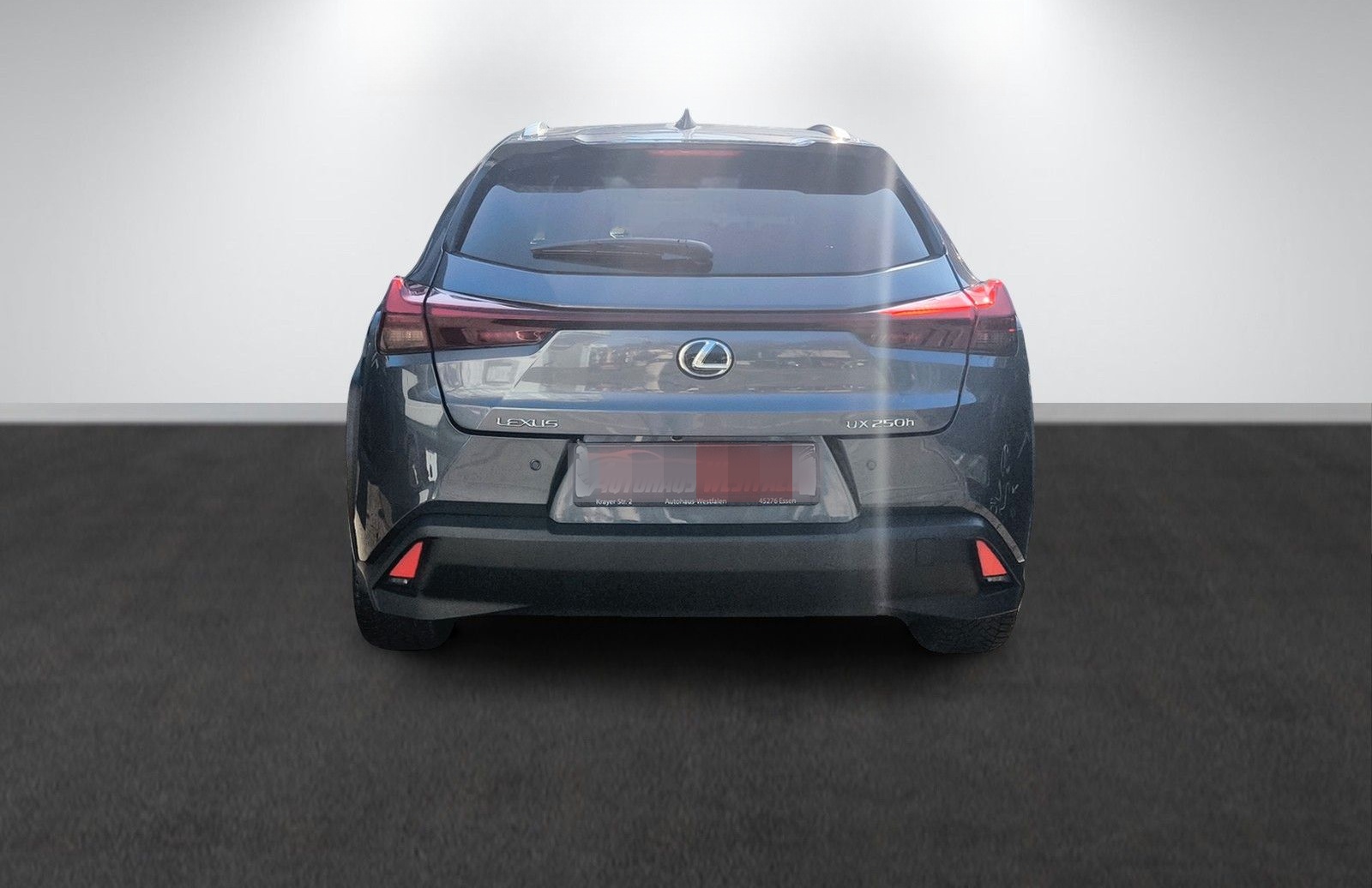 Lexus UX 250 h/Navi/Kamera/LED/1.Hand/Top foto 4