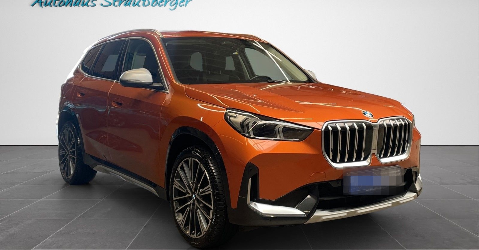 BMW X1 23 d xDrive xLine ACC AHK RFK SHZ LRHZ AD LED foto 2